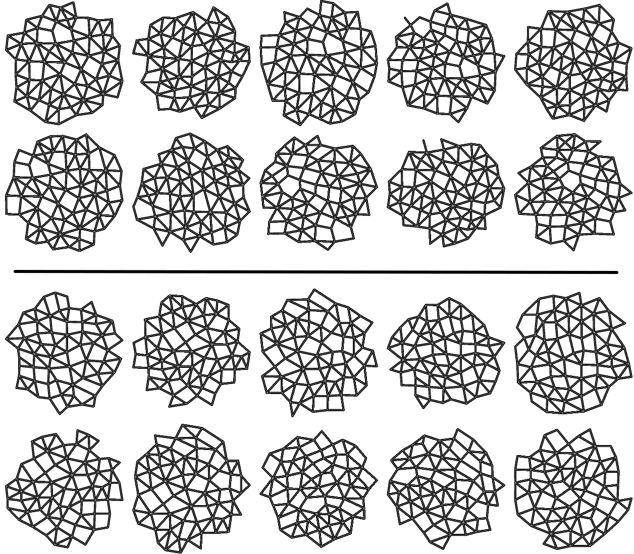 Top: ten example morphological graphs extracted from wild-type SAM images. Bottom: ten morphological graphs drawn from trm678 mutant images.