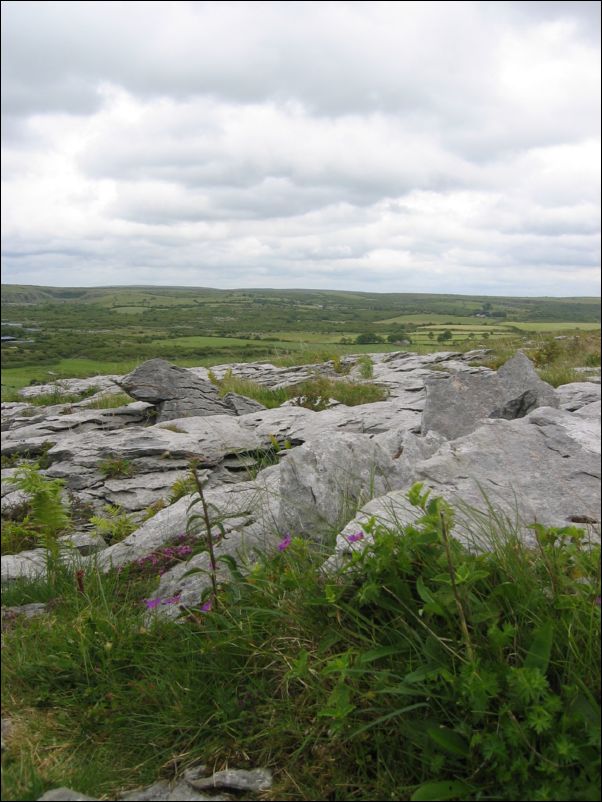 ireland0119