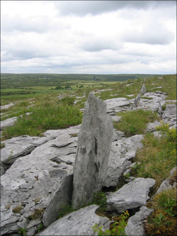 ireland0125