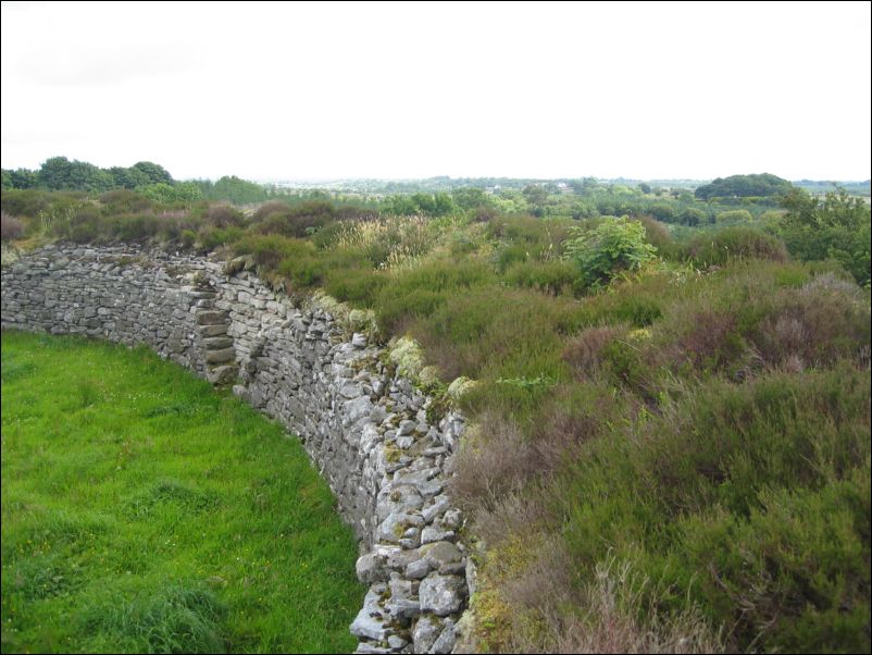 ireland0160